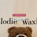 엘로디왁싱