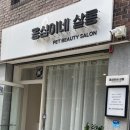 옹심이네살롱 이미지