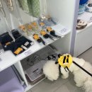 보라펫 | 대전 무인 애견용품샵 펫보라 24시 관저점