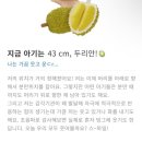 청룡동-37 | 먹고 또 먹고