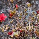 명문요양병원 이미지