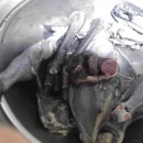 천안오골계농장 이미지