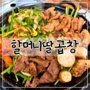 금토고기대전 | 대전 할머니딸곱창 | 둔산동 곱창무한리필 맛집, 내돈내산 후기