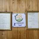 무릉도원자연펜션 이미지