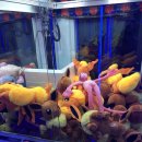 우리동네 뽑기방 이미지