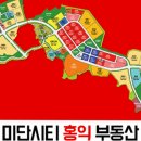 미단시티홍익공인중개사사무소 이미지