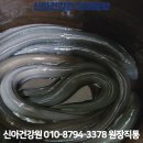 해남건강원 - 동구 경양로243번길 14-2 | 해남건강원