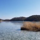 무진장어탕칼국수 이미지