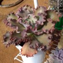 광영농장 이미지