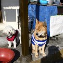 꽃향기머무는집 이미지