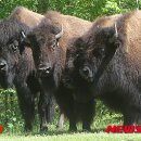 나온농장 이미지