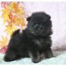 은아농장 이미지