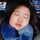 김숙피부 | 지티스 목베개 김숙 목베개 후기, 접히는 양면 목베개 사용후기