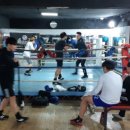 화랑복싱체육관 이미지