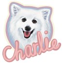 [동물병원비 후원] 찰리 입양 5주년을 기념한 티셔츠 제작 판매 이미지
