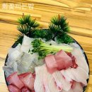 회꽃피는밤 이미지