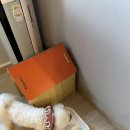 어서오개냥 - 김포시 김포대로 353 | 어서오개냥