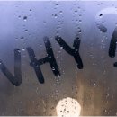 경화반점 이미지