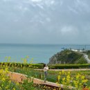 (주)신비로 이미지