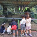 순창 고추장익는 마을 이미지