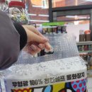 남대포 이미지
