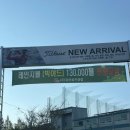 알리골프연습장(3층) | 대전 실외 골프연습장 길산 골프 클럽 후기(요금, 시설, 주차)