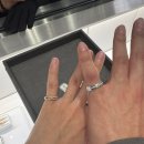 우리DC백화점 | 백화점 웨딩반지 투어 티파니앤코, 쇼파드, 불가리, 다미아니, 타사키, 피아제