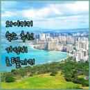 해변의 꿈 호스텔 | 와이키키 해변 숙소, 어디가 좋을까? 가성비 호스텔부터 럭셔리 호텔까지!