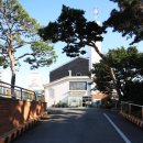 성바울로유치원 이미지