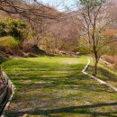 백무동야영장 이미지