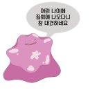명숙자판기 | 행성인 인권캠프 '인권, 몬GO?!' 후기