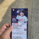 면목두산2,3차 | 2025 KBO리그 두산 : 삼성 1,2,3차전 직관후기