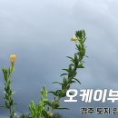 전원부동산중개사무소 이미지