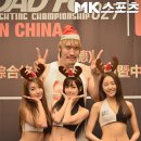 최홍만 카카오 검색결과