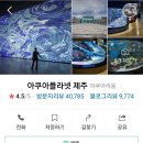 4공단로7길1L-26 | 이. 크루가 추천하는 제주에 오면 꼭 들려야 하는 곳, 아쿠아 플라넷 제주!