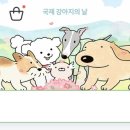 백설아 카카오 검색결과