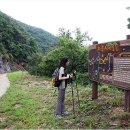 고종시마실길 이미지