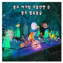 사과탑매점 | 충주 아이랑 가볼만한 곳 활옥동굴 아기와 방문 후기