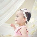 하비스튜디오 이미지