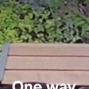 One way Ticket 이미지