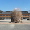 칠석동 고싸움센터 이미지