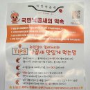 국민낙곱새수원 네이버블로그