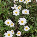 신풍면사무소 이미지