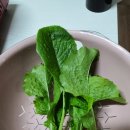 창뜰농장 이미지