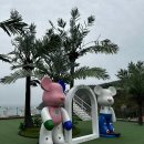 삼육오펜션 | 여수풀빌라 블루망고 리조트 여수 아이랑 가족여행 펜션