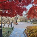 국채보상운동기념공원 이미지