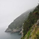 장지마을 앞 버스정류장 이미지