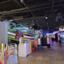 동산게임랜드 이미지