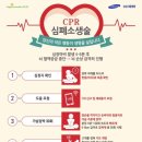 한진 카 서비스 이미지