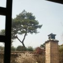 고당한의원 이미지